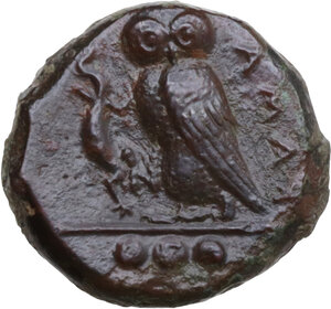 reverse: Kamarina. AE Tetras, 425-405 BC