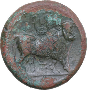 reverse: Samnium, Southern Latium and Northern Campania, Cales. AE 21 mm. c. 265-240 BC