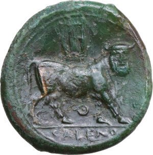 reverse: Samnium, Southern Latium and Northern Campania, Cales. AE 22 mm. c. 265-240 BC