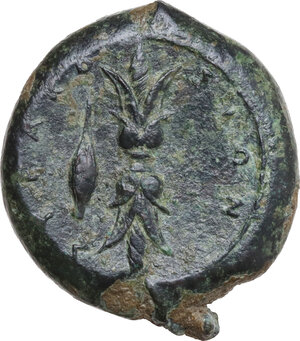 reverse: Syracuse. Timoleon and the Third Democracy (344-317 BC). AE Hemidrachm. Timoleontic Symmachy coinage, c. 343-339/8 BC