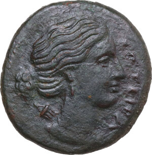 obverse: Syracuse. Agathokles (317-289 BC). AE Litra, c. 295 BC