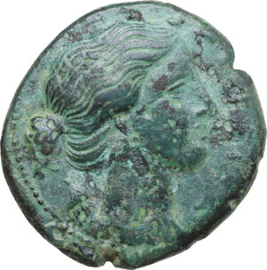 obverse: Syracuse. Agathokles (317-289 BC). AE Litra, c. 295 BC