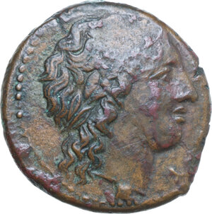 obverse: Syracuse. Hiketas (287-278 BC). AE 23 mm