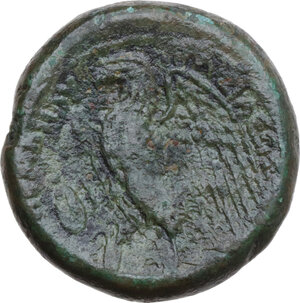 reverse: Syracuse. Hieron II (274-215 BC). AE 26 mm, c. 270-260 BC. Imitation of Ptolemy II Philadelphos