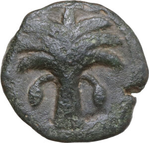 obverse: AE 19.5 mm. c. 330-300 BC, uncertain mint