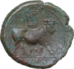 reverse: Samnium, Southern Latium and Northern Campania, Cales. AE 21 mm, c. 265-240 BC