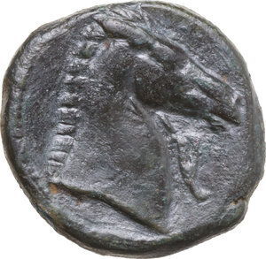 reverse: AE 19 mm, 300-264 BC