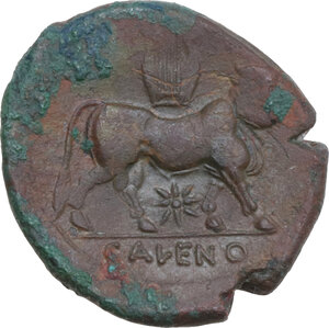 reverse: Samnium, Southern Latium and Northern Campania, Cales. AE 21 mm, 265-240 BC