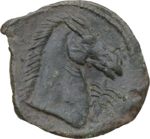 reverse: AE 23 mm, 300-264 BC