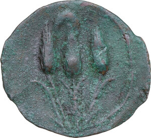 reverse: AE 21 mm, Libyan Revolt, 241-238 BC