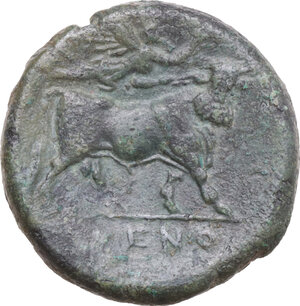 reverse: Samnium, Southern Latium and Northern Campania, Cales. AE 20 mm, 265-240 BC