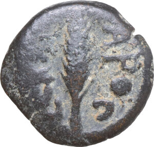 obverse: Judaea. Porcius Festus, Procurator 59-62. AE Prutah in the name of Nero, Jerusalem mint