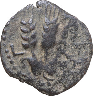 reverse: Judaea. Agrippa I (37-44). AE Prutah, year 6 (41/42). Jerusalem mint