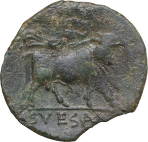 reverse: Samnium, Southern Latium and Northern Campania, Suessa Aurunca. AE 20 mm, 265-240 BC