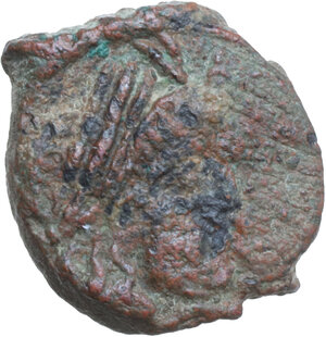 obverse: Nabatea. Rabbel II (70-106 AD). AE, Petra mint