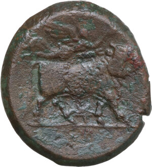 reverse: Samnium, Southern Latium and Northern Campania, Teanum Sidicinum. AE 22 mm, c. 265-240 BC