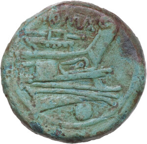 reverse: Anonymous post-semilibral series. AE Uncia, Cales, second half 216 BC