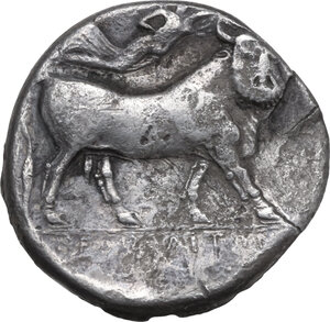 reverse: Central and Southern Campania, Neapolis. AR Nomos, c. 320-300 BC