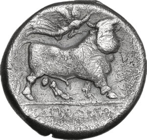 reverse: Central and Southern Campania, Neapolis. AR Didrachm, c. 320-300 BC