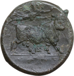 reverse: Central and Southern Campania, Neapolis. AE 21 mm, 275-250 BC