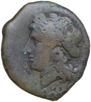 obverse: Central and Southern Campania, Neapolis. AE 20.5 mm. c. 270-250 BC