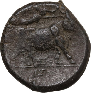 reverse: Central and Southern Campania, Neapolis. AE 20 mm, c. 275-250 BC