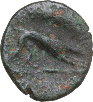 reverse: Central and Southern Campania, Nuceria Alfaterna. AE 16 mm. 250-225 BC