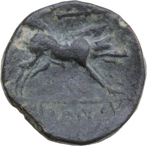 reverse: Northern Apulia, Arpi. AE 19 mm, 325-275 BC