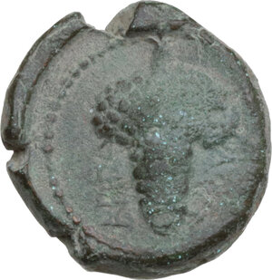 reverse: Northern Apulia, Arpi. AE 16 mm, 215-212 BC