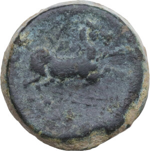 reverse: Northern Apulia, Salapia. AE 21 mm, 225-210 BC