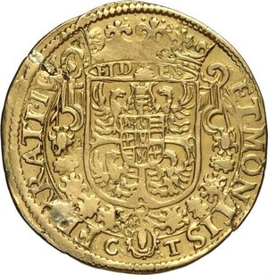 reverse: Mantova, Ferdinando Gonzaga (1612-1626), Doppia, RRR MIR-584 Au 27 mm 6,36 g, foro otturato e provenienza da spilla
				