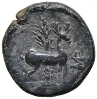 Reverse image