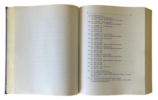 Immagine aggiuntiva 1