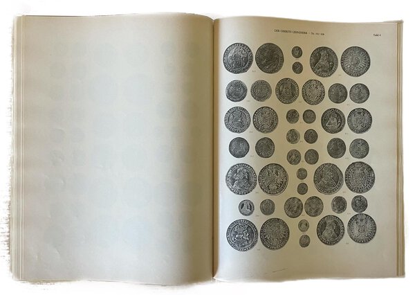 Immagine aggiuntiva 1