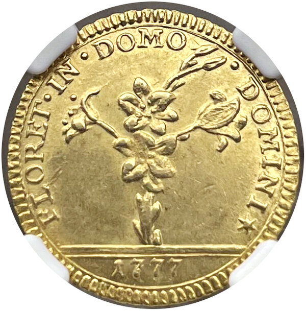 Immagine aggiuntiva 1