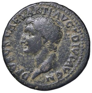 obverse: ROMANE IMPERIALI - Druso († 23) - Asse (Restituzione di Tito) C. 6 (10 Fr.); RIC 437  (AE g. 10,85) Con cartellino Clelio Varesi. bel BB