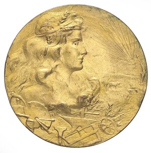 obverse: MEDAGLIE - SAVOIA - Vittorio Emanuele III (1900-1943) - Medaglia 1910 - Roma, esposizioni prodotti agricoli industriali   MD  Ø 60 Colpetti. BB-SPL