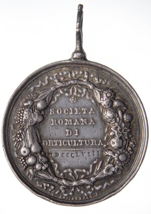 reverse: MEDAGLIE - PAPALI - Pio IX (1846-1866) - Medaglia 1858 - Società Romana di Orticultura   AG  Ø 37Con appiccagnolo Colpetti. qBB