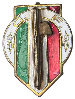 obverse: MEDAGLIE - FASCISTE  - Distintivo Giovani Fasciste   MD  Opus: Castelli. SPL