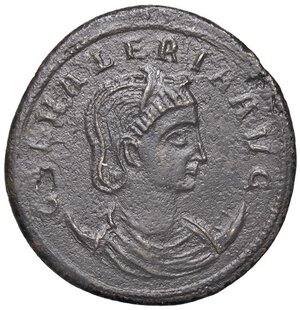 obverse: Raccolta di falsi da studio - Restrike collection - Falsi-Restrike (da studio, moderni, ecc.) - Galeria Valeria (moglie di Galerio) - Follis   (MI g. 8,44). BB+