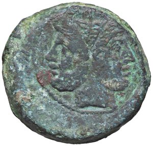 obverse: ROMANE REPUBBLICANE - ANONIME - Monete con simboli o monogrammi (211-170 a.C.) - Asse   (AE g. 47,15)Protome equina. qBB