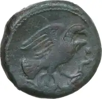 Reverse image