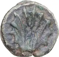 Reverse image