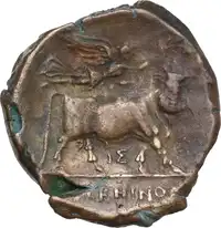 Reverse image