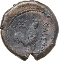Reverse image