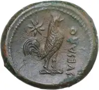 Reverse image