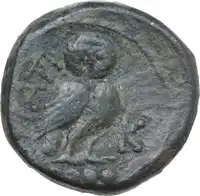 Reverse image