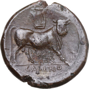 reverse: Samnium, Southern Latium and Northern Campania, Cales. AE 21.5 mm, c. 265-240 BC