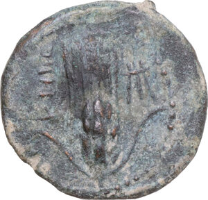 reverse: Central and Southern Campania, Capua. AE Quincunx, 216-211 BC