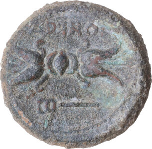 reverse: Eastern Italy, Larinum. AE 20 mm, c. 250-225 BC